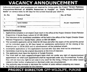 Government Jobs in Lahore, Punjab, Pakistan for Skilled and General Labor 2024– Apply Now 