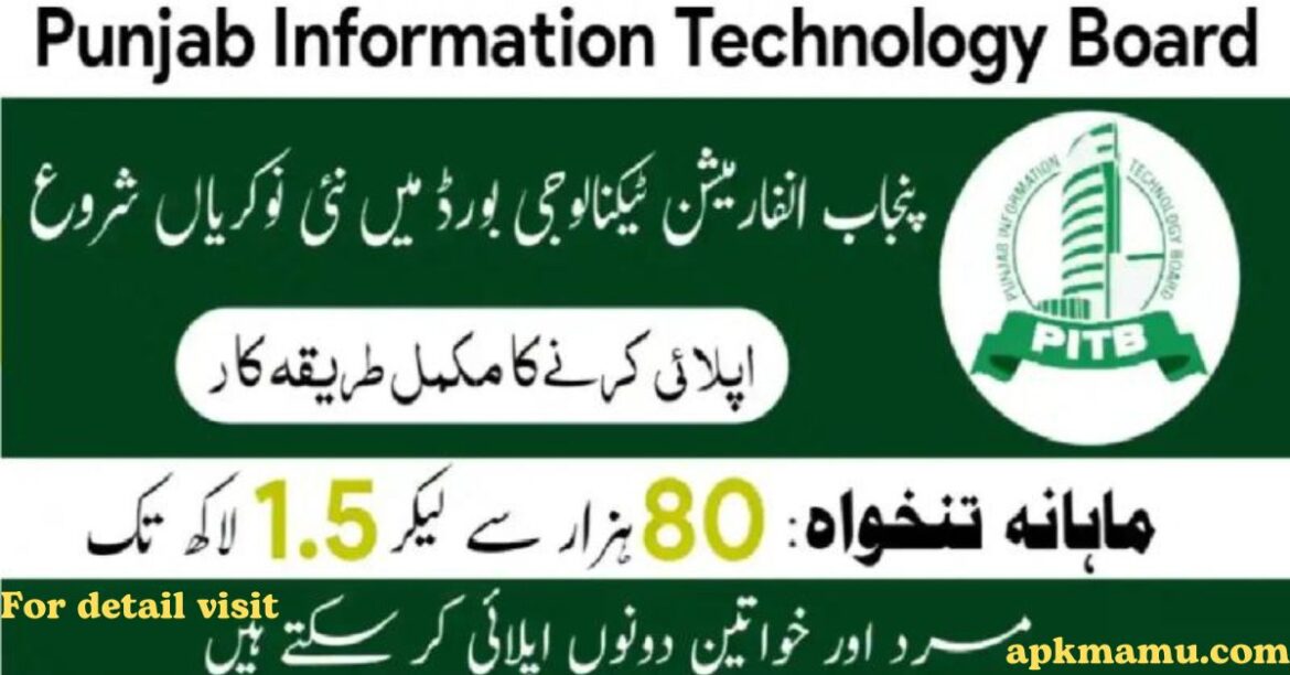 Punjab Information Technology Board (PITB) Jobs 2024: Exciting IT Career Opportunities in Punjab – Apply Now!