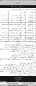 WAPDA Job Openings in Lahore 2024: Apply for Government Security and Management Positions