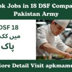 Cook Jobs in 18 DSF Company Pakistan Army