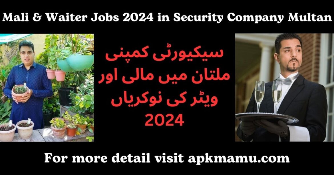 Mali & Waiter Jobs 2024 in Security Company Multan