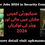 Mali & Waiter Jobs 2024 in Security Company Multan