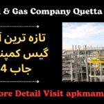 Latest Oil & Gas Company Quetta Job 2024: Exciting Opportunities Await!